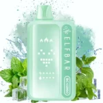 Elfbar Bc45000 45k Puffs Einweg Vape Eu Warehouse Double Mint 600x600 1 Disposable Device