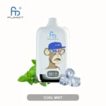 Fumot Digital Box 12000 Puffs Einweg Vape Cool Mint 1 Disposable Device