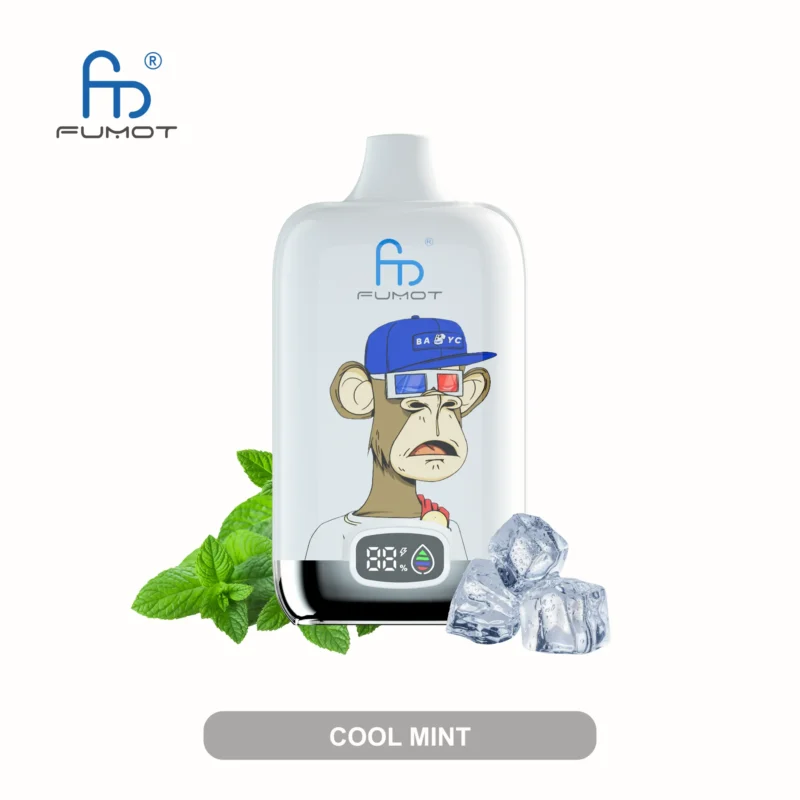 Fumot Digital Box 12000 Puffs Einweg Vape Cool Mint 1 Disposable Device
