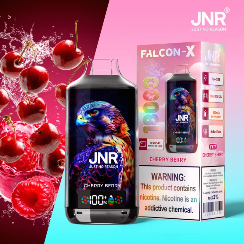 Jnr Falcon X 18000 Puffs Einweg Vape Cherry Berry Disposable Device