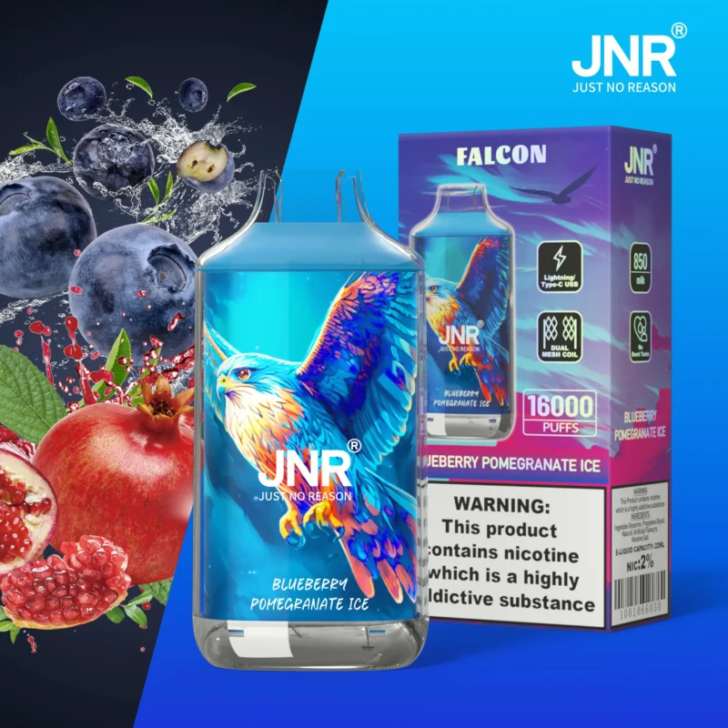 Jnr Falon 16,000 16k Puffs Disposable Vape Blueberry Pomegranate Ice Disposable Device