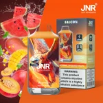 Jnr Falon 16,000 16k Puffs Disposable Vape Watermelon Mango Peach Disposable Device