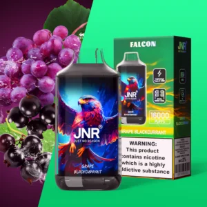 Jnr Falon 16,000 16 Puffs Disposable Vape Grape Blackcurrant Disposable Device
