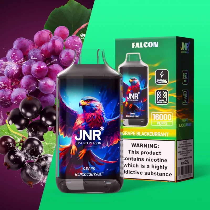 Jnr Falon 16,000 16 Puffs Disposable Vape Grape Blackcurrant Disposable Device