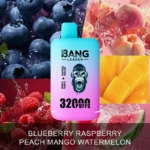 Puff 32k Bang Leader Puffs Einweg Vape Blueberry Raspberry Peach Mango Watermelon Disposable Device