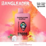 Puff 32k Bang Leader Puffs Einweg Vape Lychee Ice Mango Peach Pineapple Disposable Device