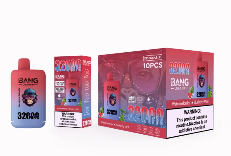 Puff 32k Bang Leader Puffs Einweg Vape Watermelon Ice Blueberry Mint 2 Disposable Device