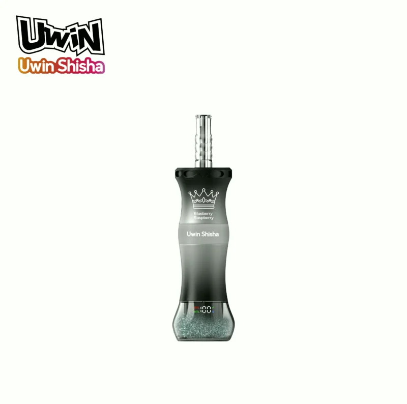 Uwin Shisha 300,000 (300k) Puffs Disposable Vape Dtl Hookah Blueberry Raspberry 2 Disposable Device