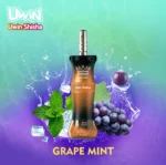 Uwin Shisha 300,000 (300k) Puffs Disposable Vape Dtl Hookah Grape Mint Disposable Device