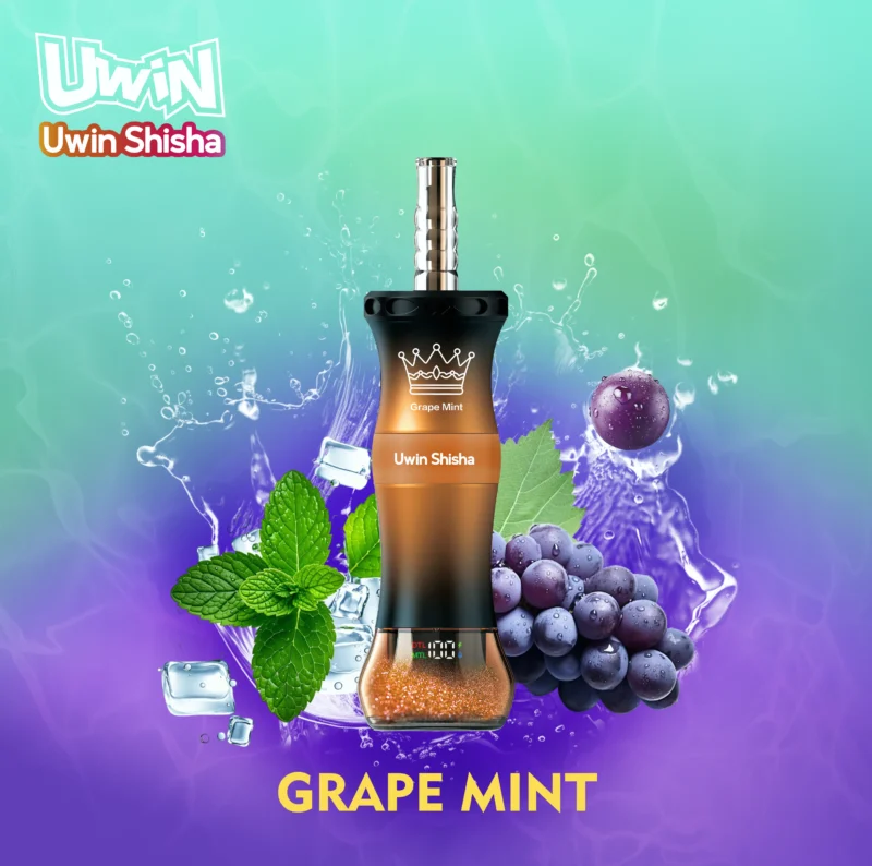 Uwin Shisha 300,000 (300k) Puffs Disposable Vape Dtl Hookah Grape Mint Disposable Device