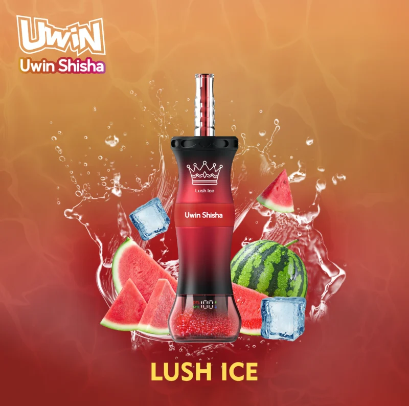 Uwin Shisha 300,000 (300k) Puffs Disposable Vape Dtl Hookah Lush Ice Disposable Device