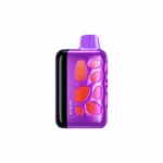 Vozol Rave 40000 Puffs Einweg Vape Grape Ice 2 Disposable Device