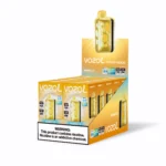 Vozol Rave 40000 Puffs Einweg Vape Mango Ice 1 Disposable Device