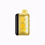 Vozol Rave 40000 Puffs Einweg Vape Mango Ice 2 Disposable Device