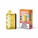 Vozol Rave 40000 Puffs Einweg Vape Mango Peach 3 Disposable Device