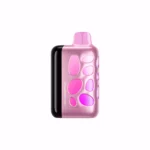 Vozol Rave 40000 Puffs Einweg Vape Strawberry Kiwi 2 Disposable Device