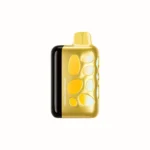 Vozol Rave 40000 Puffs Einweg Vape Strawberry Mango 2 Disposable Device