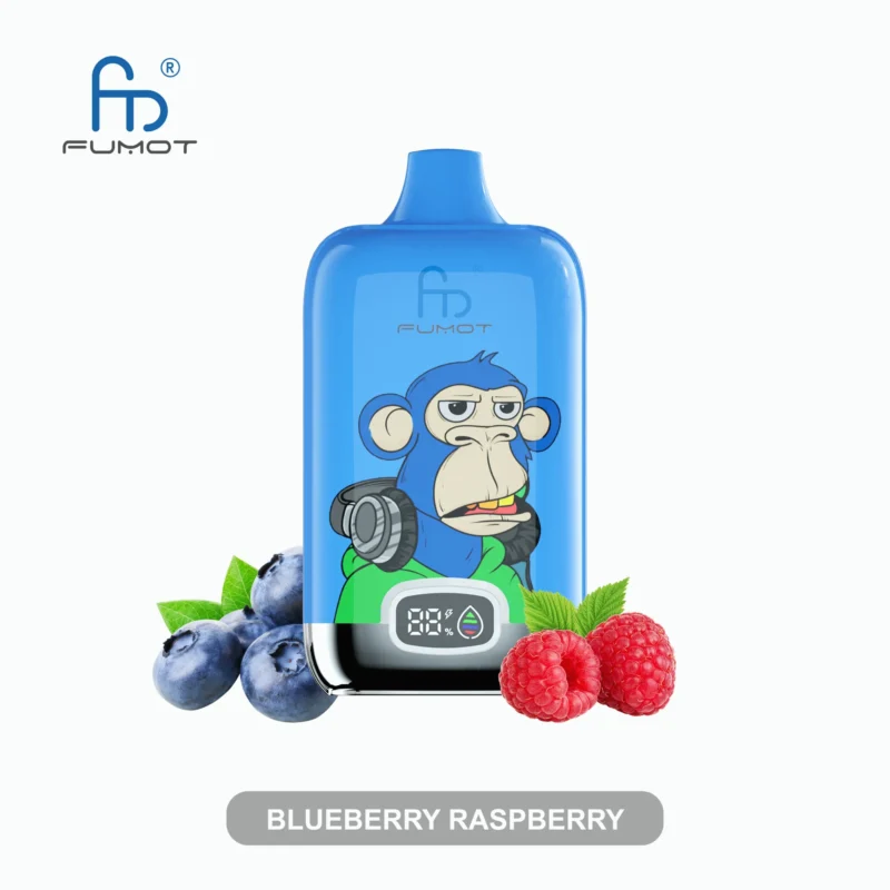 Fumot Randm Digital Box 12000 Puffs Einweg Vape Blueberry Raspberry Disposable Device