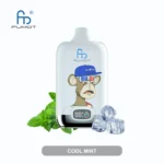 Fumot Randm Digital Box 12000 Puffs Einweg Vape Cool Mint 1 Disposable Device