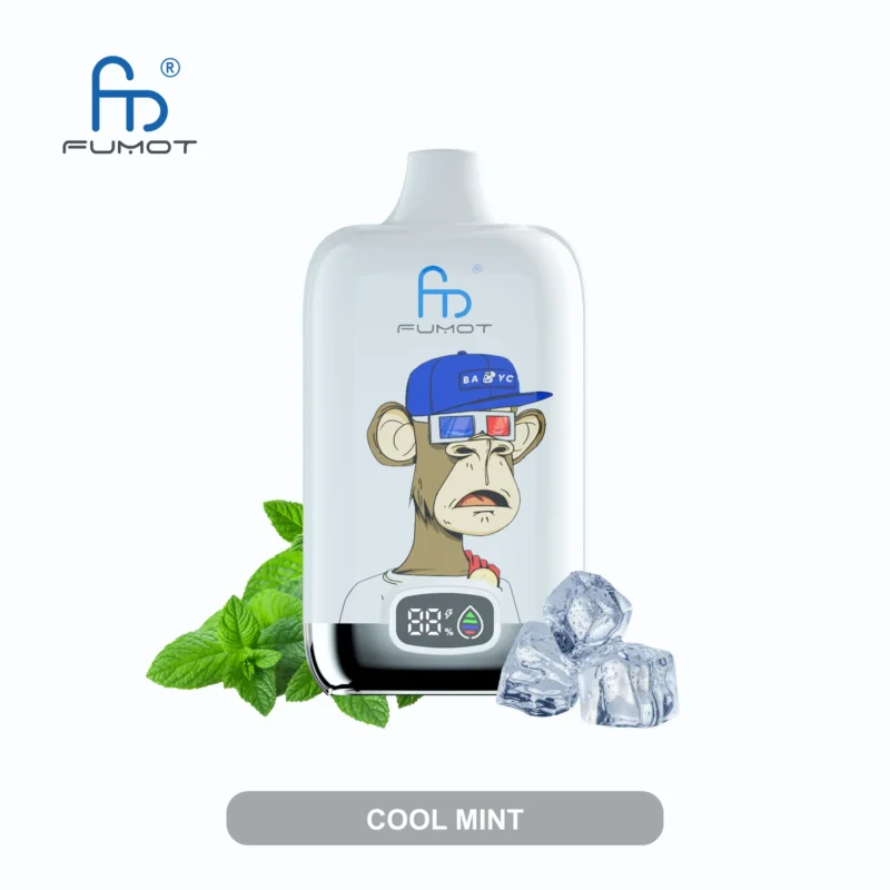 Fumot Randm Digital Box 12000 Puffs Einweg Vape Cool Mint 1 Disposable Device
