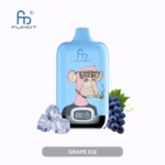 Fumot Randm Digital Box 12000 Puffs Einweg Vape Grape Ice Disposable Device