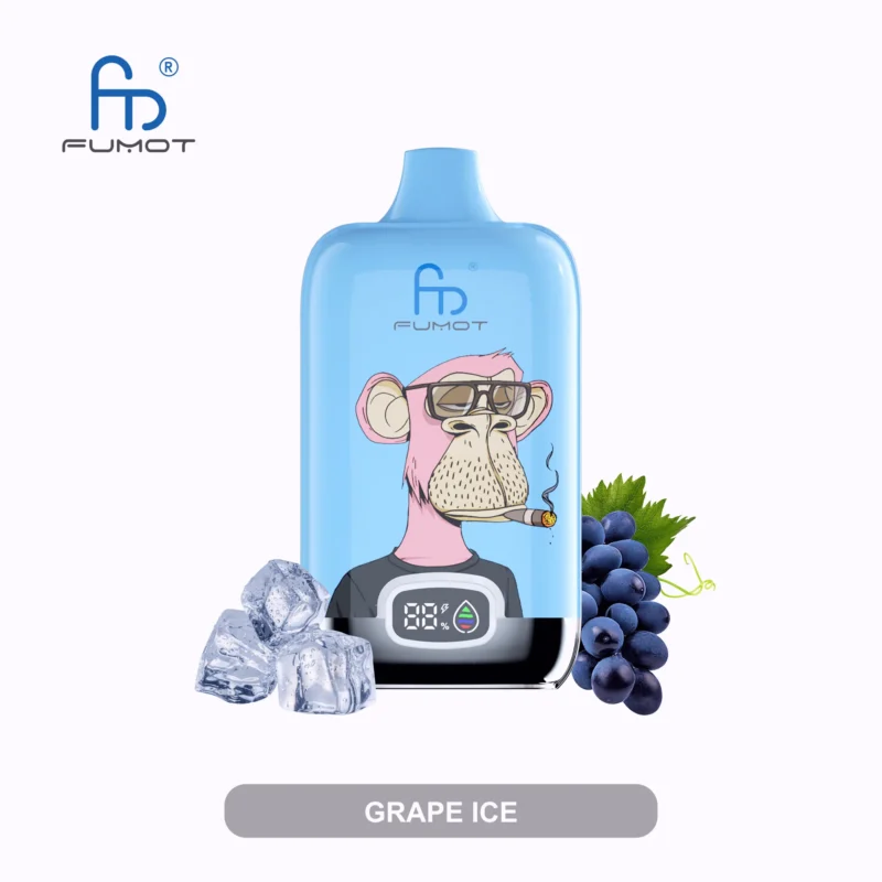 Fumot Randm Digital Box 12000 Puffs Einweg Vape Grape Ice Disposable Device