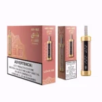 Airmez Habibi 120k 120000 Puffs Einweg Vape Love 66 Disposable Device