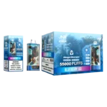 Jnr Rage Grilla 55000 Puffs Einweg Vape Blueberry Ice 1 Disposable Device