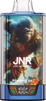 Jnr Rage Grilla 55000 Puffs Einweg Vape Blueberry Lce Disposable Device