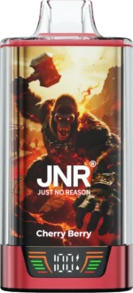 Jnr Rage Grilla 55000 Puffs Einweg Vape Cherry Berry 1 Disposable Device