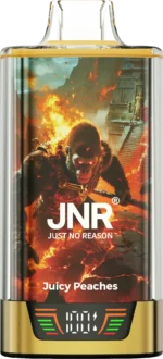 Jnr Rage Grilla 55000 Puffs Einweg Vape Juicy Peaches Disposable Device detail