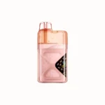 Vozol Neon 60,000 60k Puffs Disposable Vape Peach, Mango, Watermelon Disposable Device