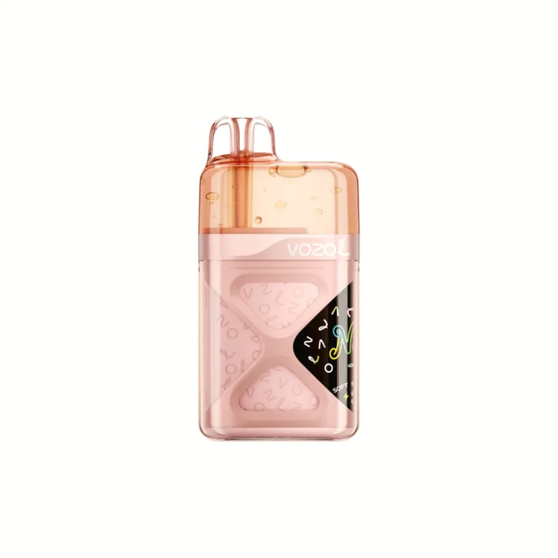 Vozol Neon 60,000 60k Puffs Disposable Vape Strawberry Raspberry Cherry Disposable Device