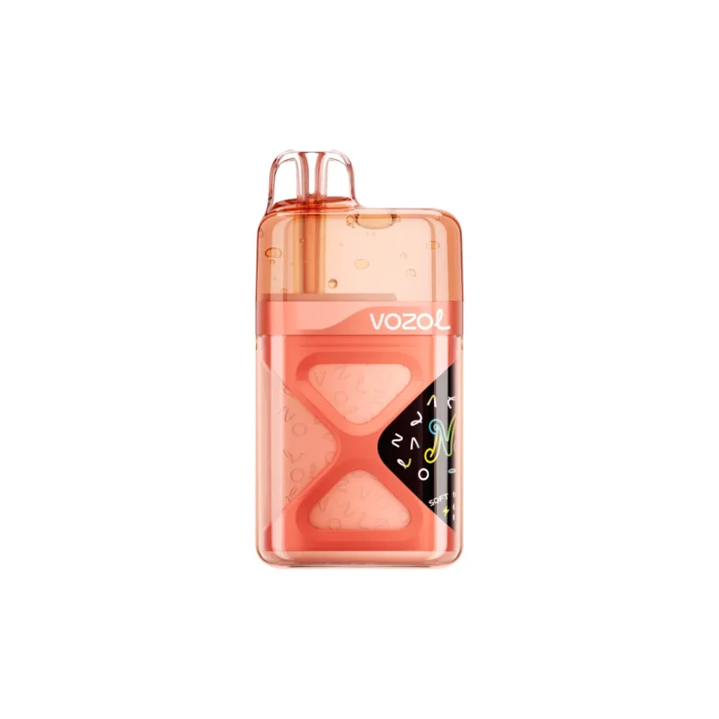 Vozol Neon 60,000 60k Puffs Disposable Vape Strawberry Watermelon Disposable Device