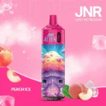 Jnr Alien 10000 10k Puffs Einweg Vape Peach Ice Disposable Device
