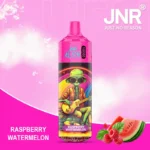 Jnr Alien 10000 10k Puffs Einweg Vape Raspberry Watermelon Disposable Device