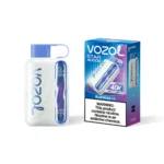 Vozol Star 40000 Puffs Einweg Vape Blue Razz Ice Disposable Device