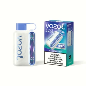 Vozol Star 40000 Puffs Einweg Vape Blueberry Mint Disposable Device
