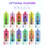 Waspe 4in1 100000 Puffs Einweg Vape Flavors List Disposable Device